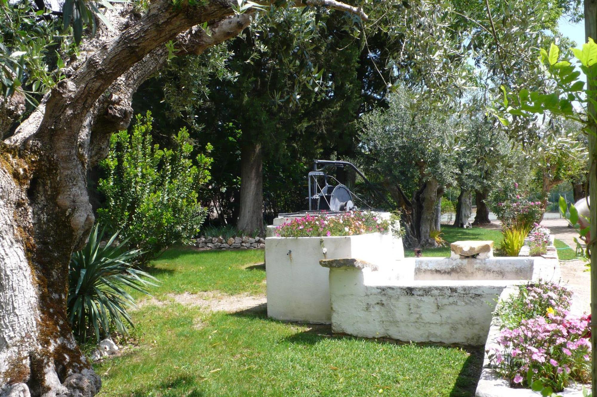 Casa Da Avo Genoveva Pension Tomar Buitenkant foto