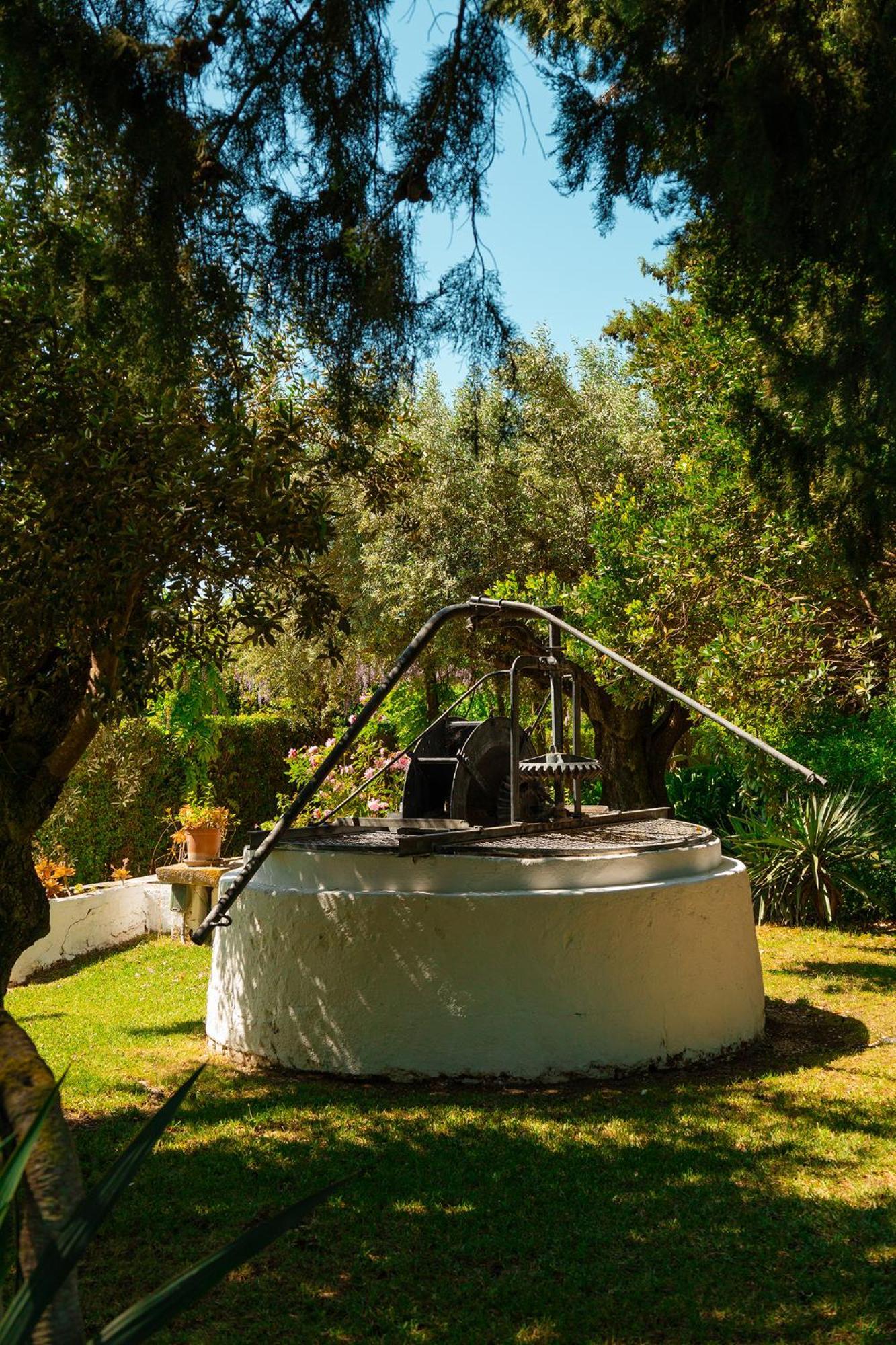 Casa Da Avo Genoveva Pension Tomar Buitenkant foto