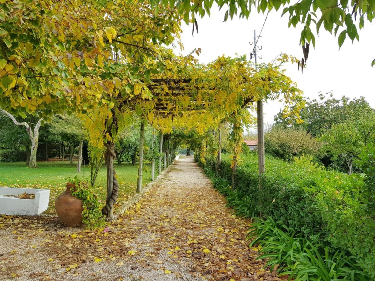 Casa Da Avo Genoveva Pension Tomar Buitenkant foto
